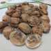 Le noci (tartufi) di mare hanno un sapore delicato e un prezzo che si aggira tra i 10 e i 12 euro al chilo